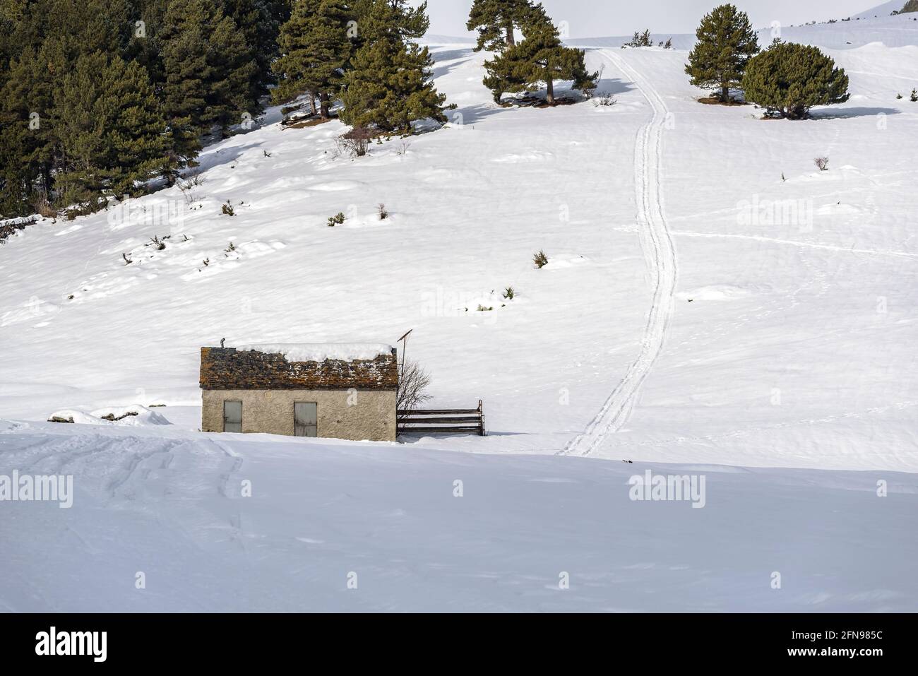 Route between Montgarri and Pla de Beret in winter with snow. Cabana de Parros cottage (Aran Valley, Catalonia, Spain, Pyrenees) Stock Photo