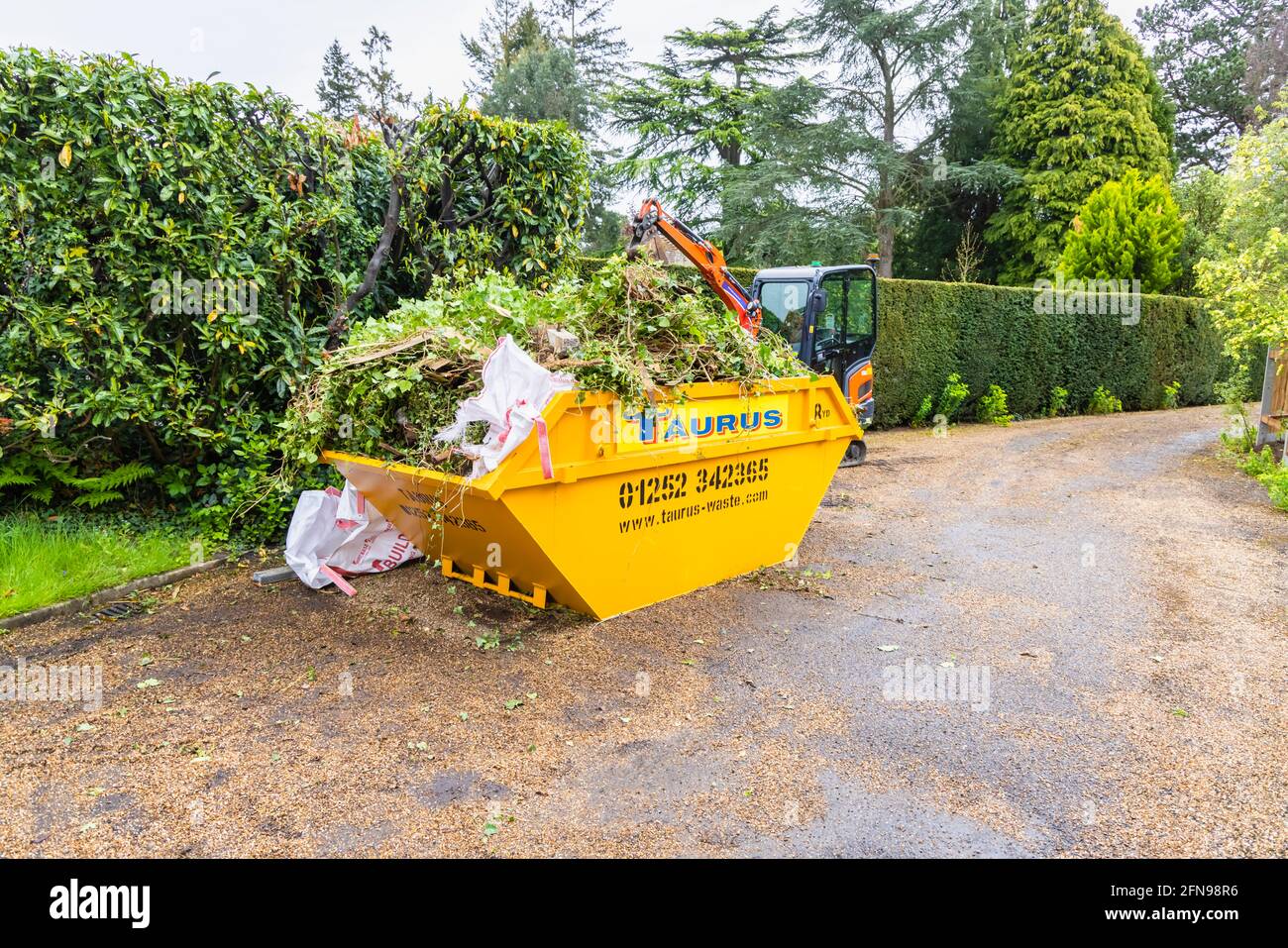 A large 8 ft overfilled yellow skip used for garden clearance and debris removal, full of garden waste in a garden in Surrey, south-east England Stock Photo