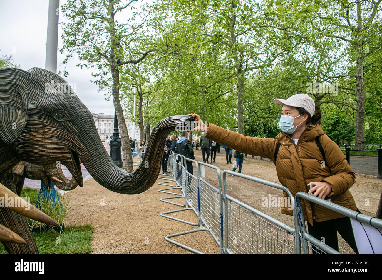 LONDON 15 May 2021. 125 lifesize elephant sculptures are displayed in