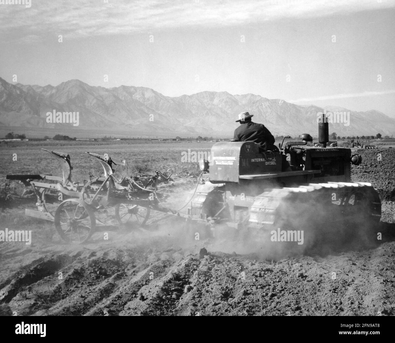 Ansel Adams, Benji Iguchi driving a tractor at Manzanar Relocation Center, California, 1943 Stock Photo
