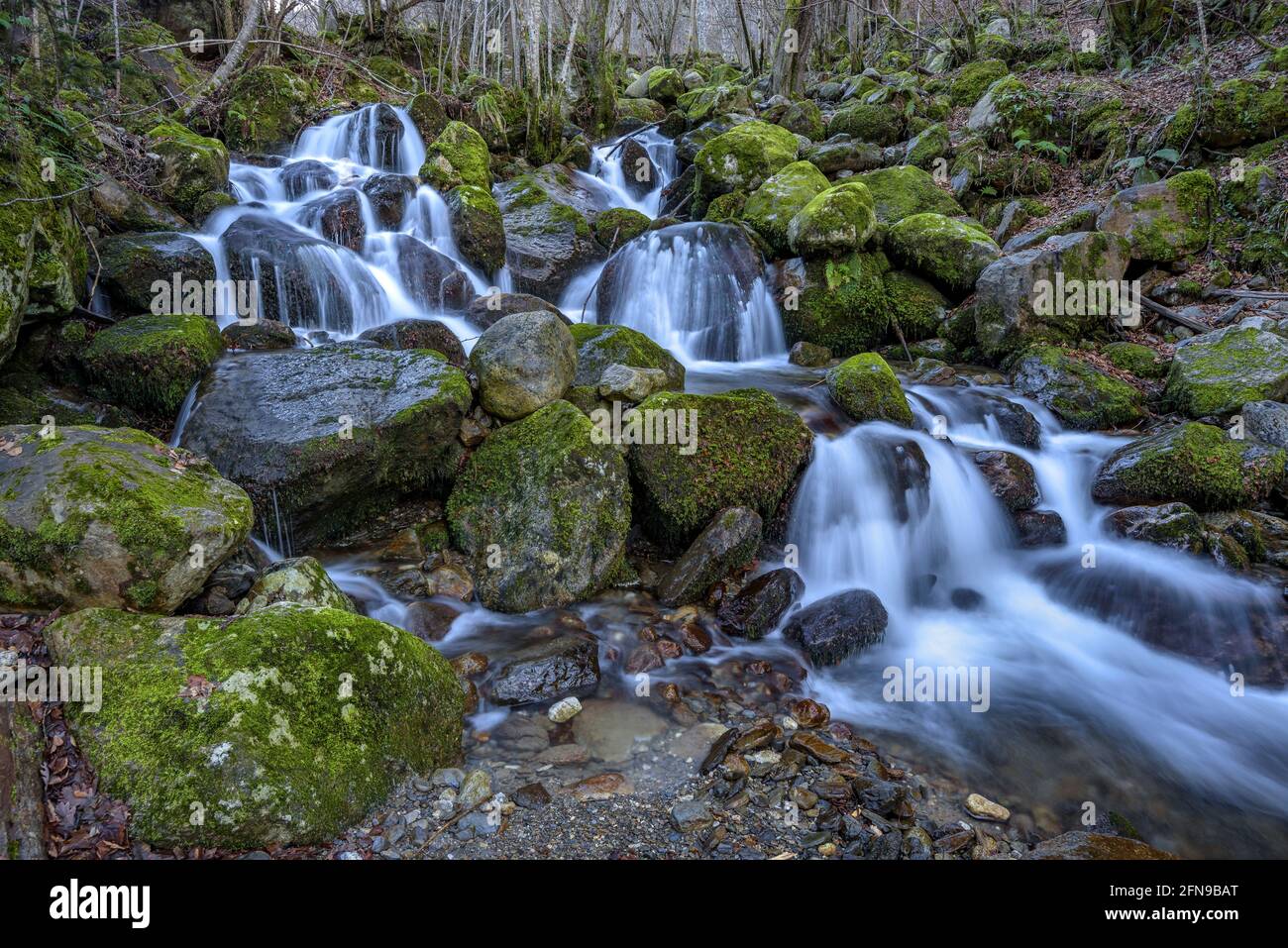 Waterfall in Toran river, in the Torán Valley (Aran Valley, Catalonia, Spain, Pyrenees) ESP: Salto de agua en el río Toran, en el Valle de Torán Stock Photo