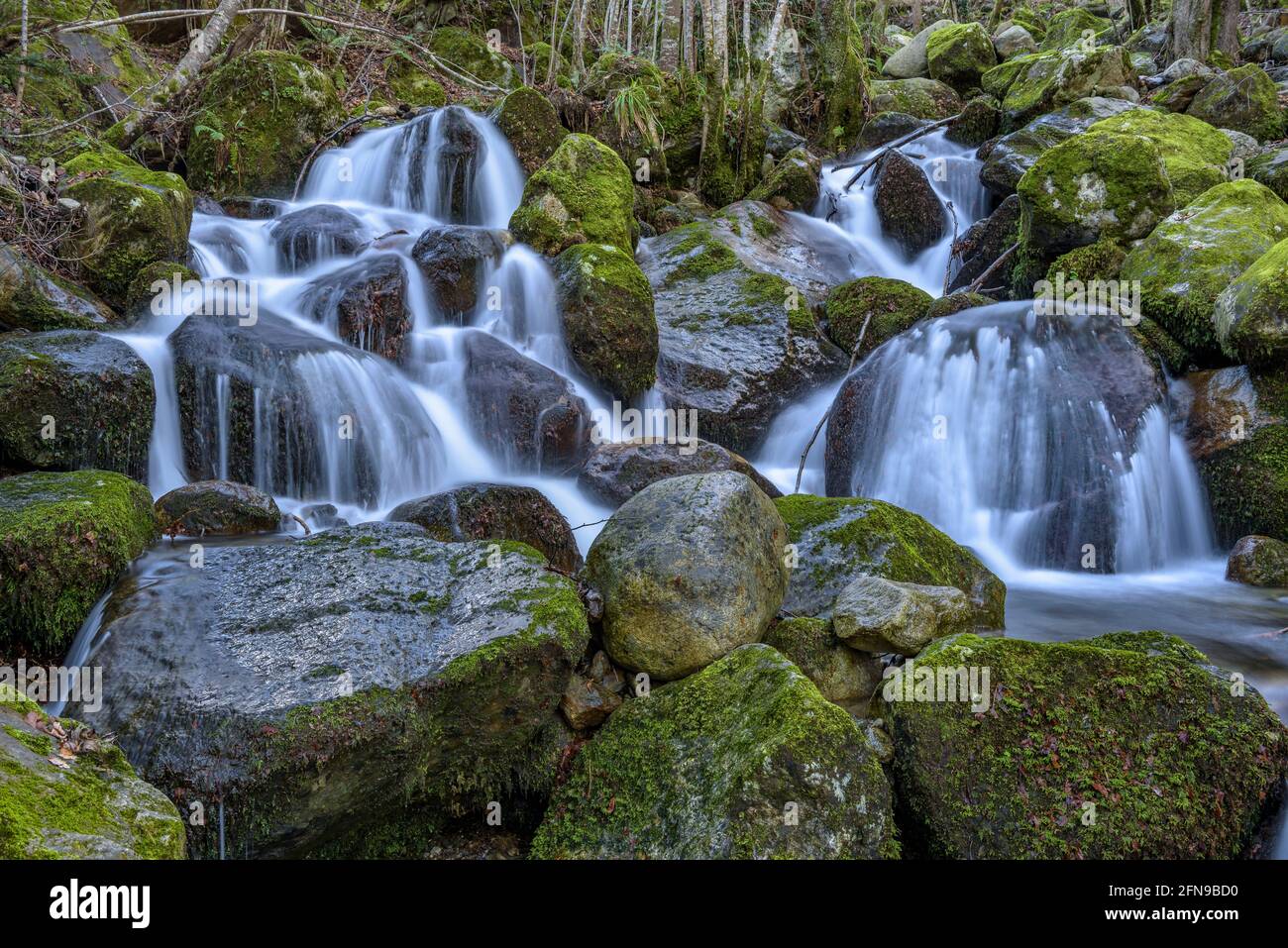 Waterfall in Toran river, in the Torán Valley (Aran Valley, Catalonia, Spain, Pyrenees) ESP: Salto de agua en el río Toran, en el Valle de Torán Stock Photo