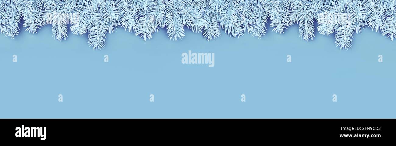 Christmas banner with border of light blue fir branches on blue background Stock Photo