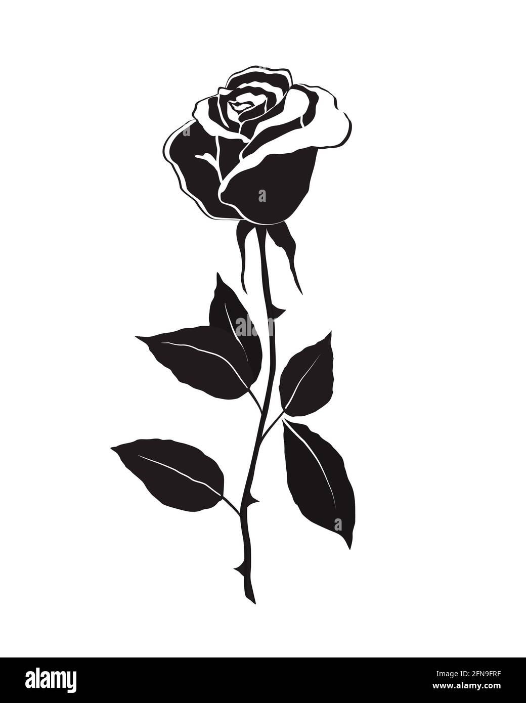 Rose flower with leaves over white background. Black silhouette of ...