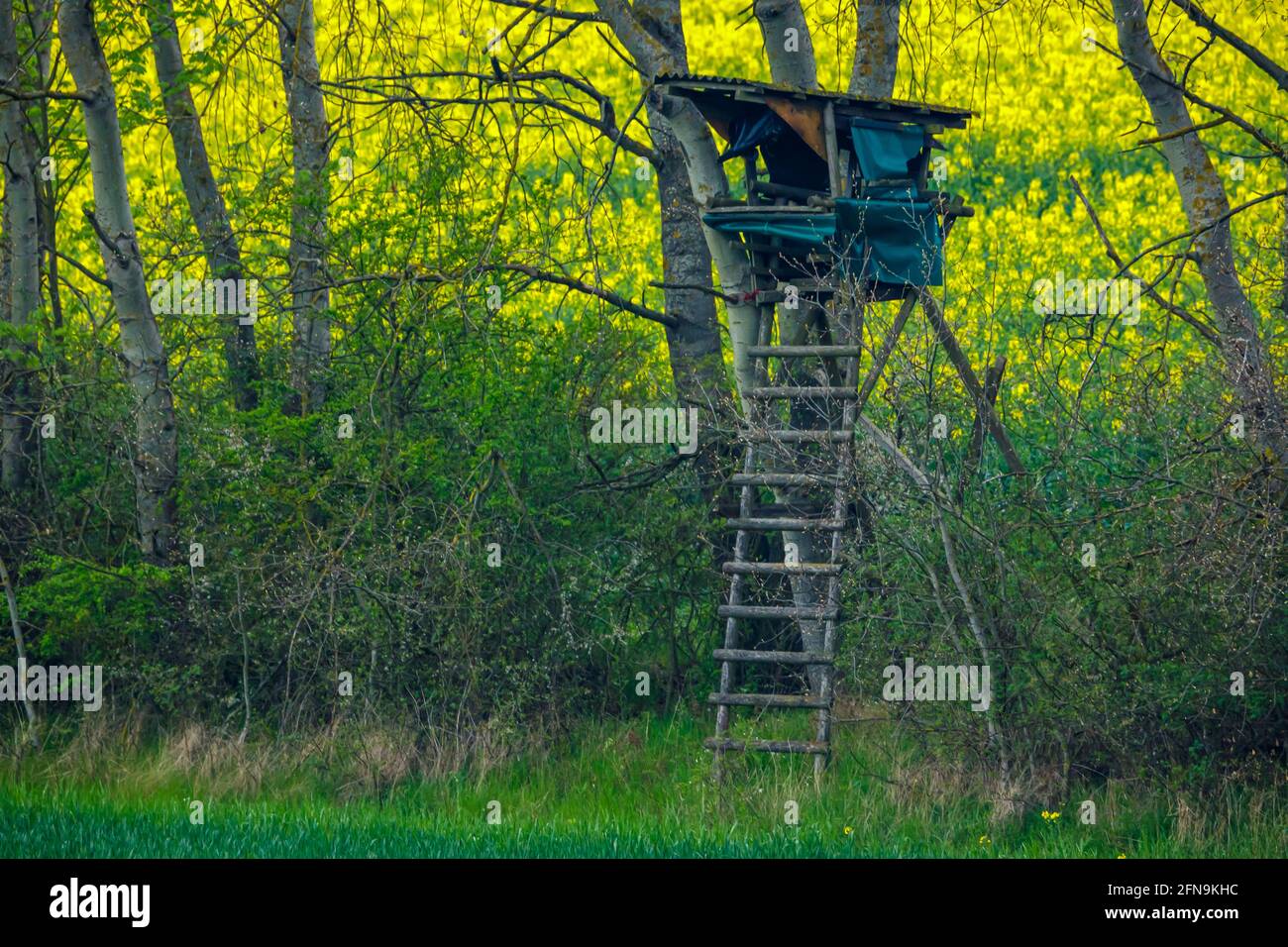 An observation tower for hunting Stock Photo Alamy