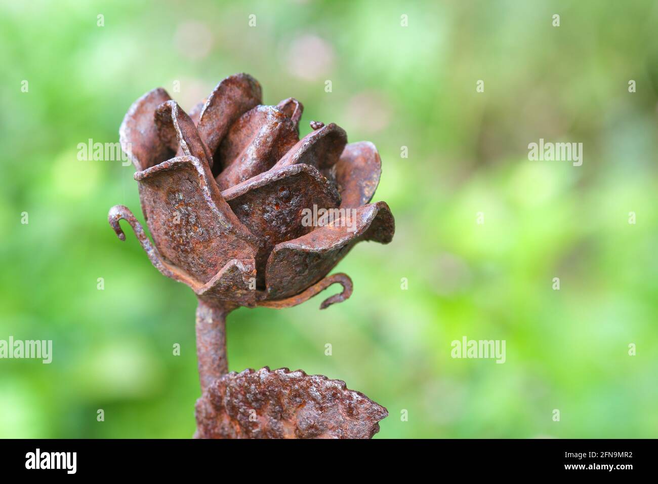 Rusted Artificial Iron Rose Flower Garden Ornament Stock Photo
