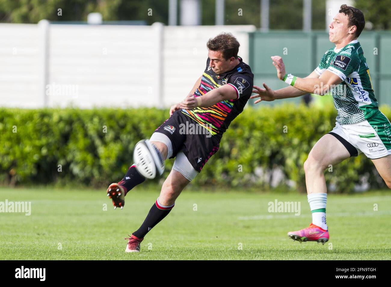 Rainbow cup 2021 zebre rugby hi-res stock photography and images - Page 2 -  Alamy