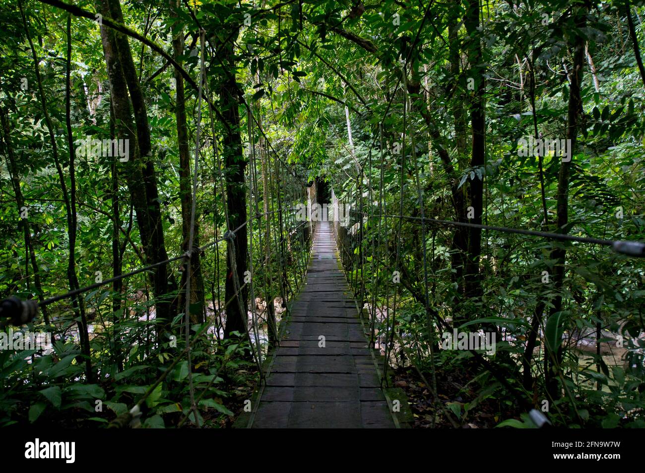 Suspension bridge in jungles of Panama Stock Photo
