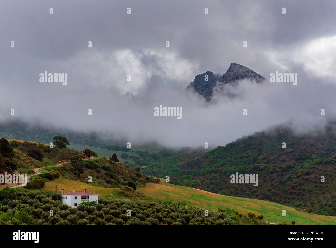 Landscape in Malaga with farmland, a house and the Peña Negra mountain  peeking out from the clouds that border it Stock Photo - Alamy