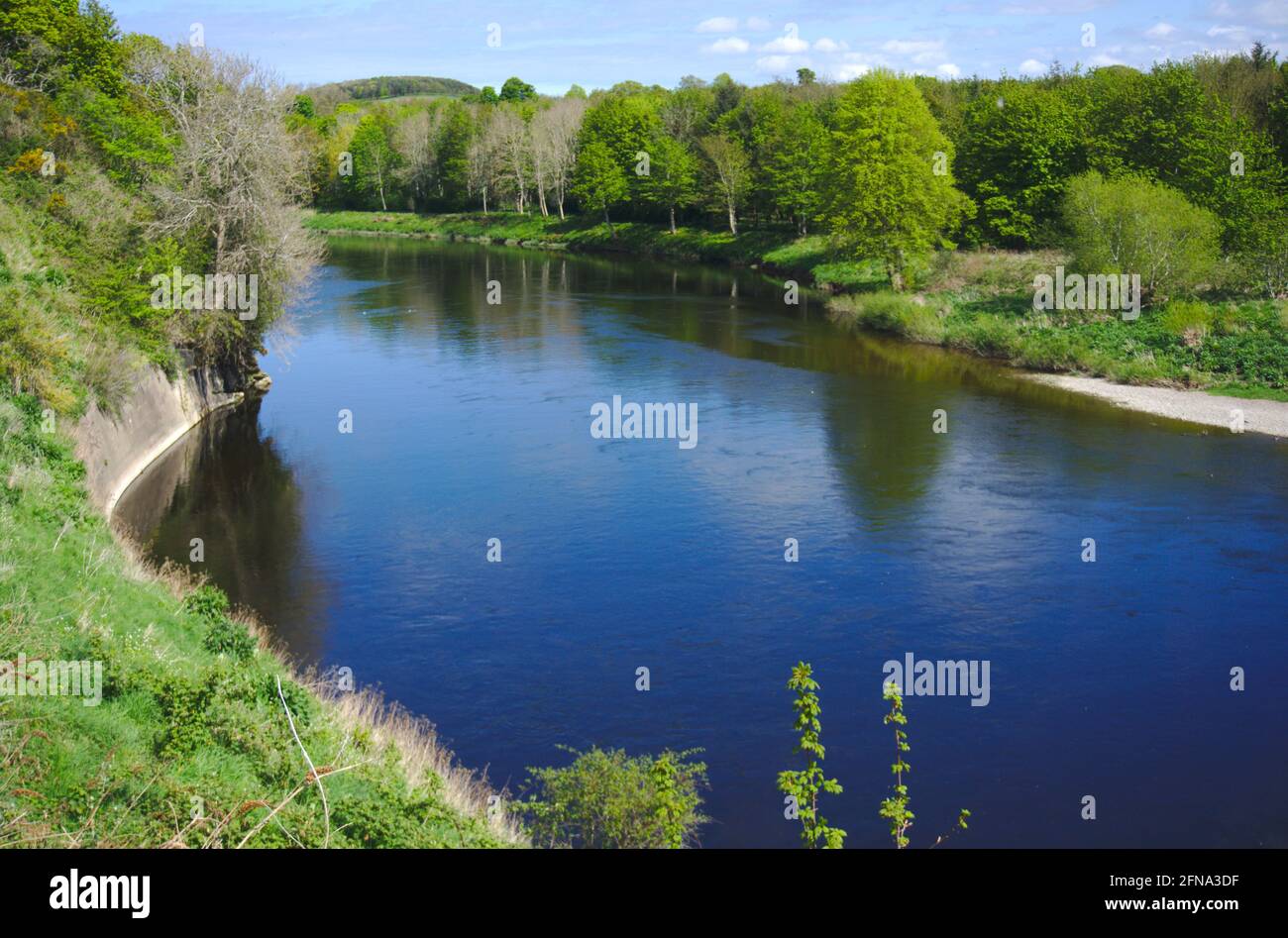 River Tweed as seen from Nun's Walk, Coldstream, Berwickshire, Scottish Borders, Scotland, UK, with Northumberland, England on the far side. Stock Photo
