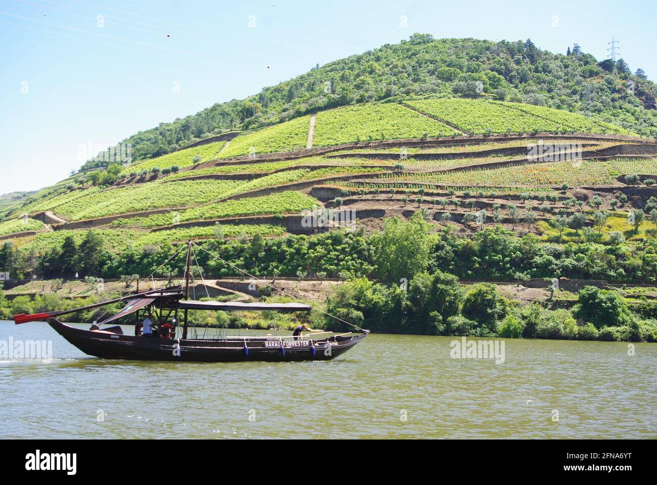 Rabelo boat douro river vineyard hi-res stock photography and images ...