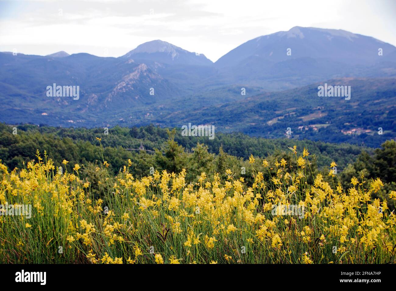 National park of Pollino, In Basilicata region, Italy Stock Photo