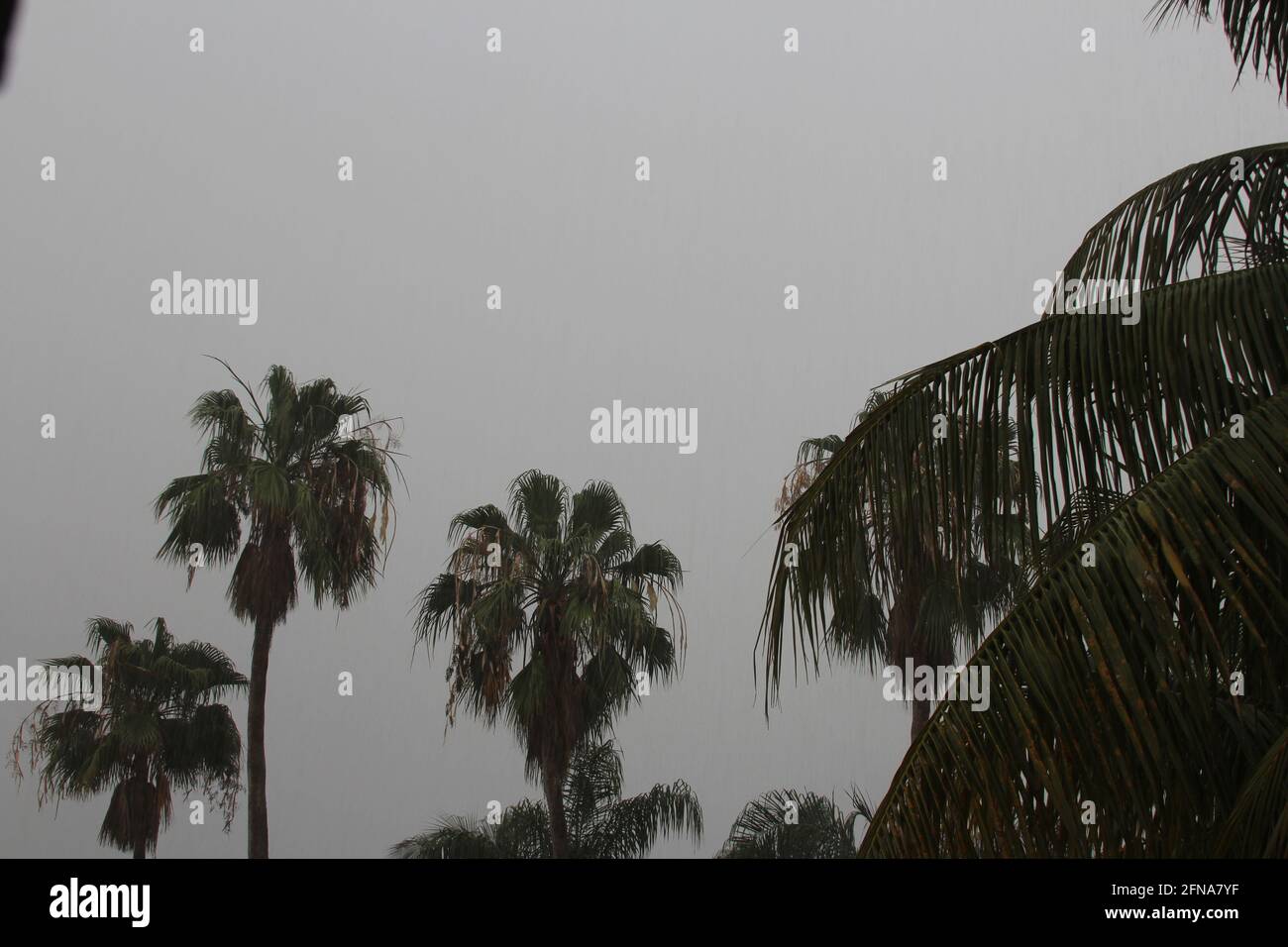 Tropical monsoon climate hi-res stock photography and images - Alamy