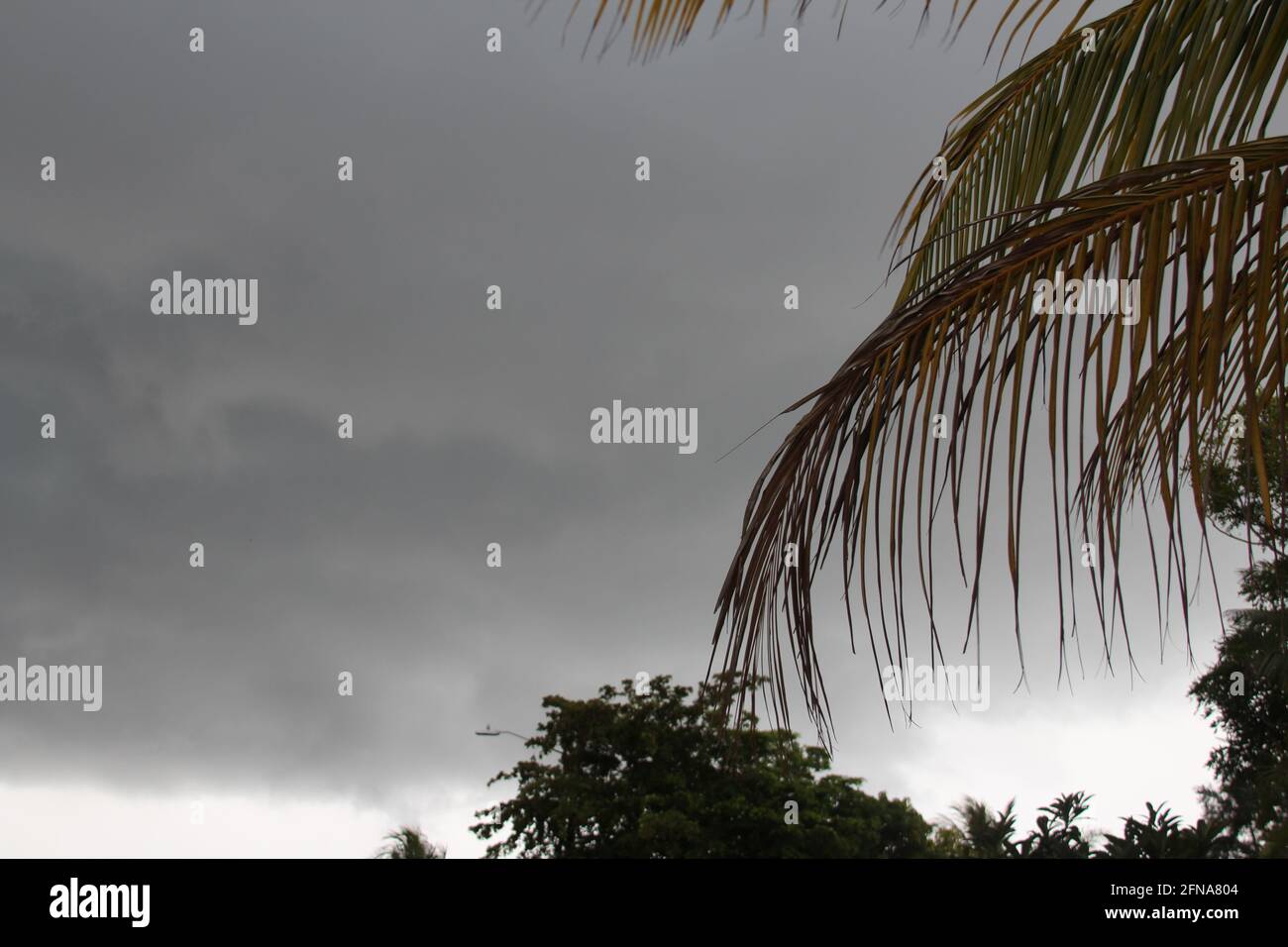tropical gloomy weather in Florida Stock Photo