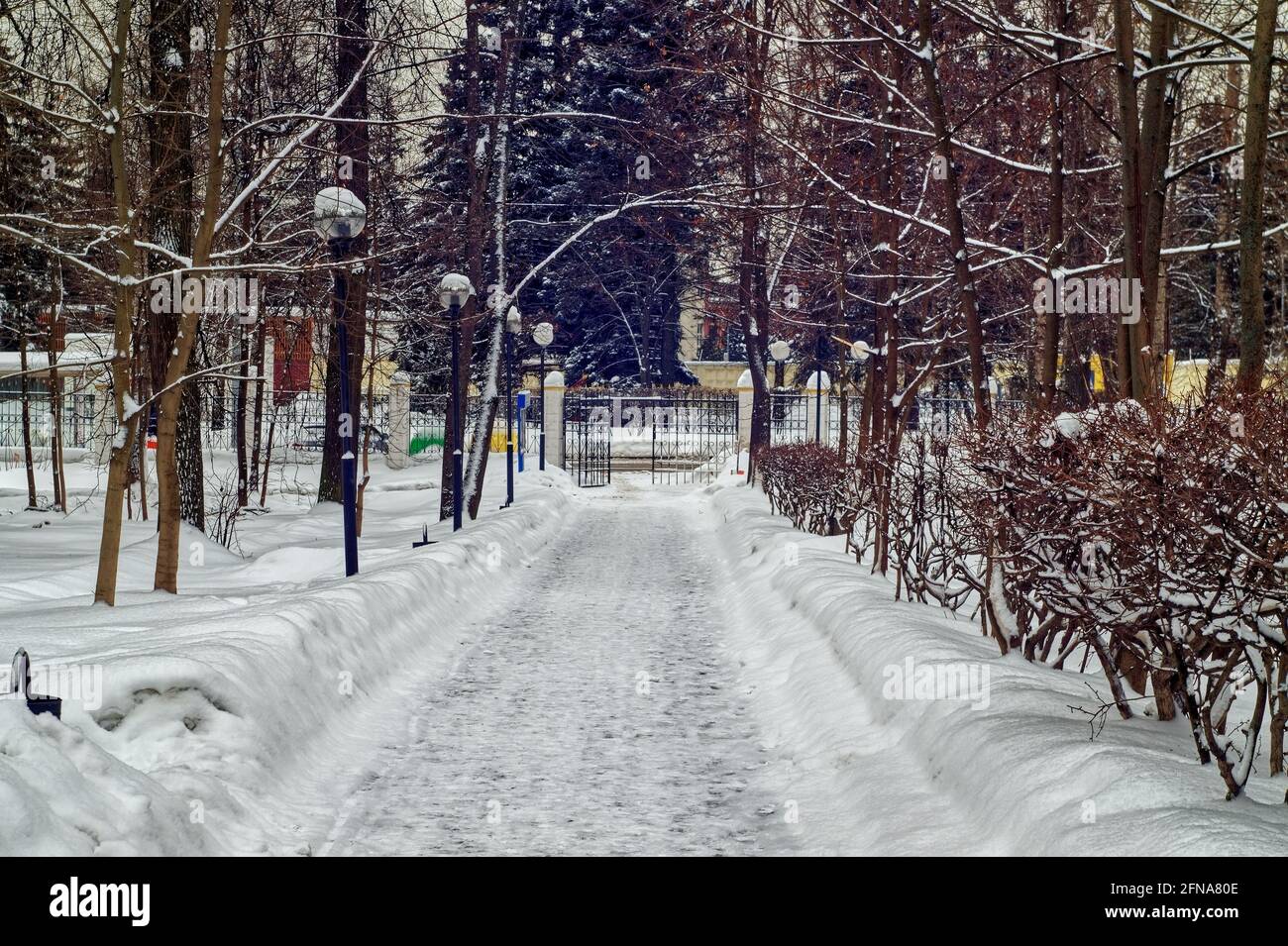 street lights in the snow in the park, moscow Stock Photo - Alamy