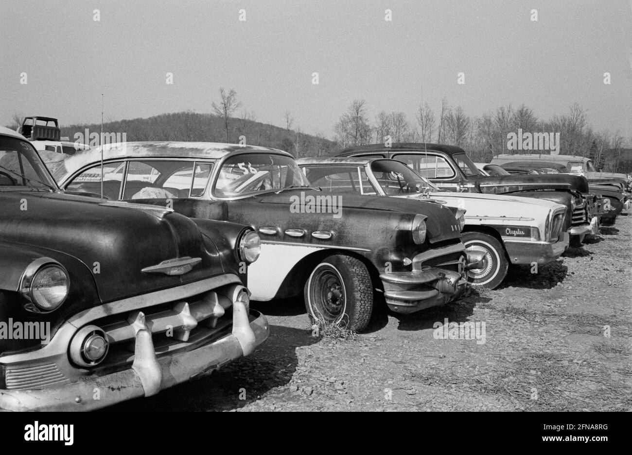 American Junkyard, 1956 Buick, Chrysler Stock Photo
