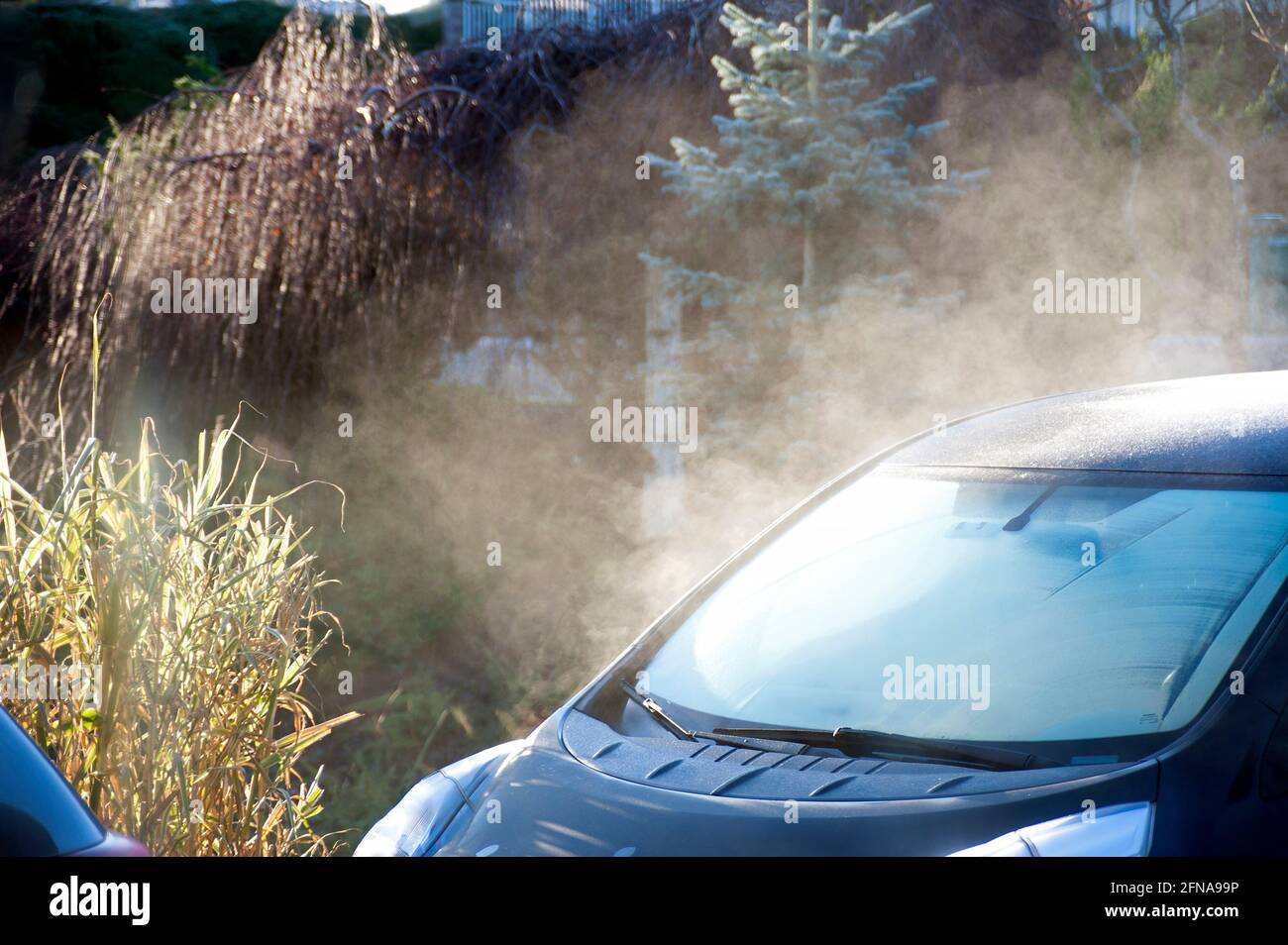 Frost melting on windshield. Stock Photo