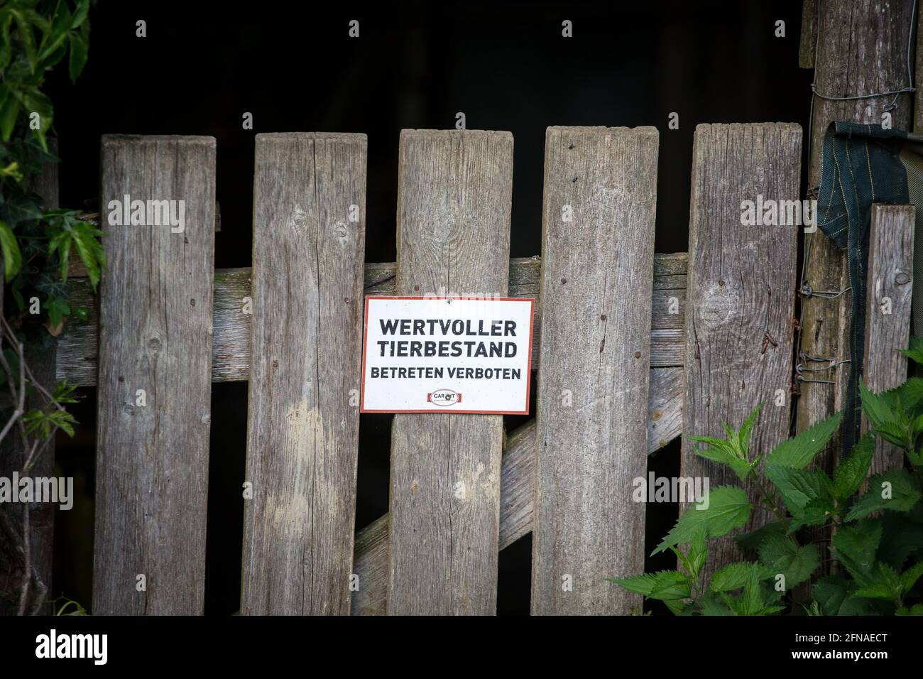 Weidezaunschild 'Wertvoller Tierbestand – Kuh' – DIN A4, Aus Hartschaum, Witterungsbeständig