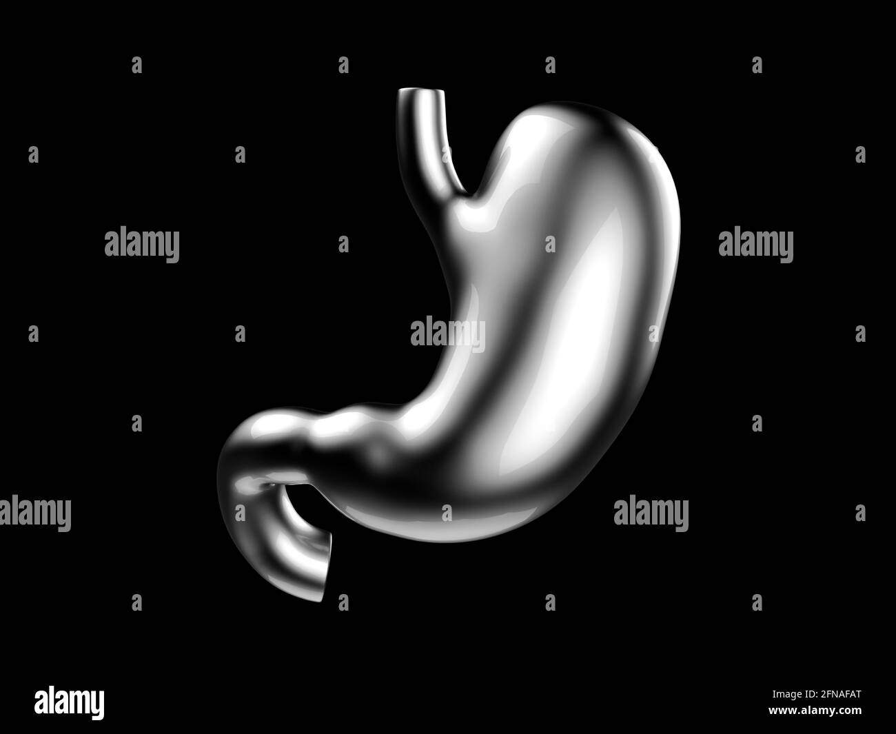 3d illustration of human stomach made of metal isolated on black background Stock Photo