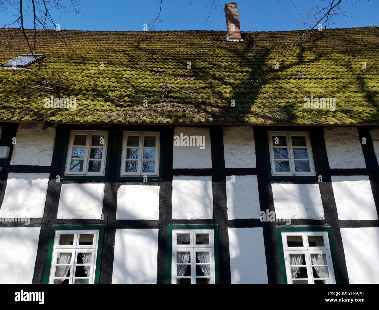 Timber framing house with a moss-covered roof in the blue sky