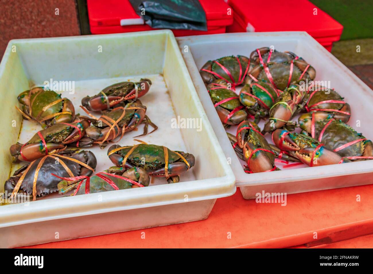 Seafood blue live crabs clams oysters and lobsters Thai market street ...
