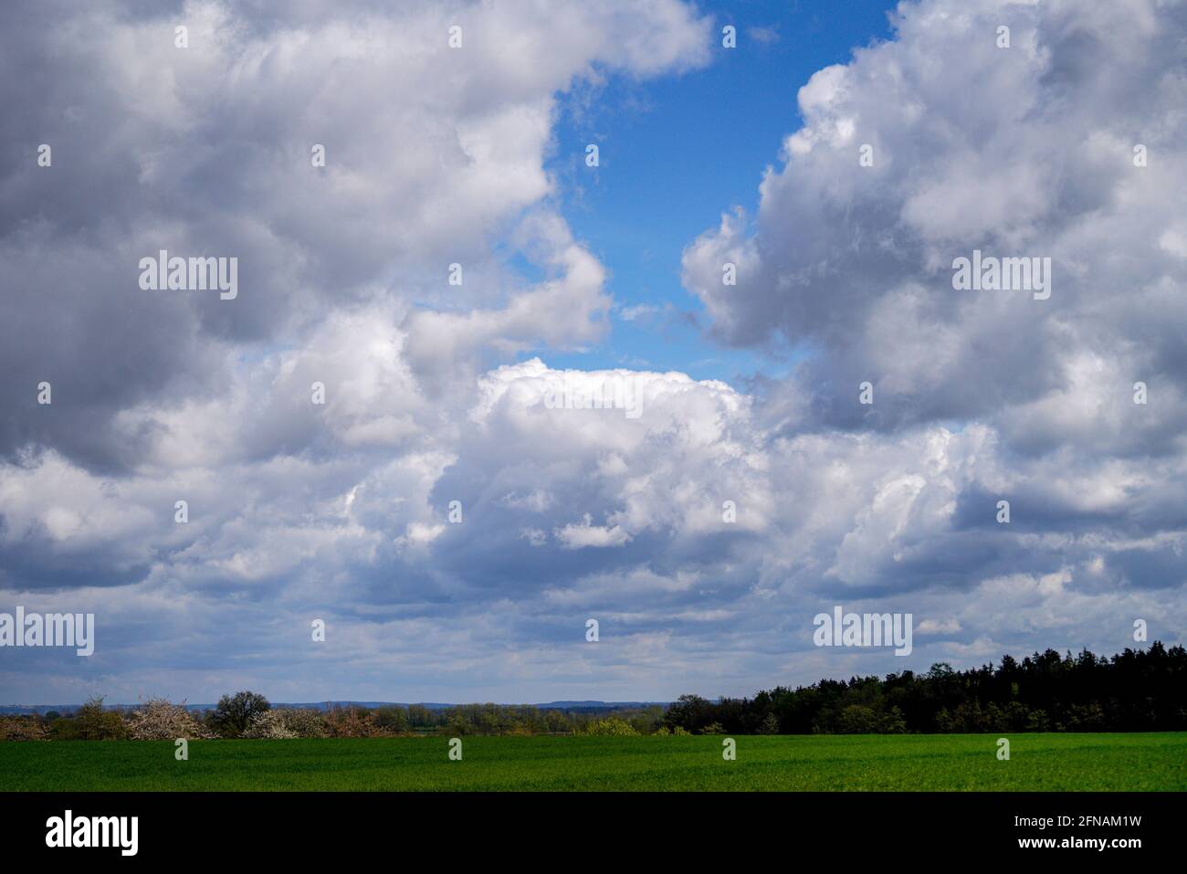 Landscape of a field covered in greenery under a blue cloudy sky ...