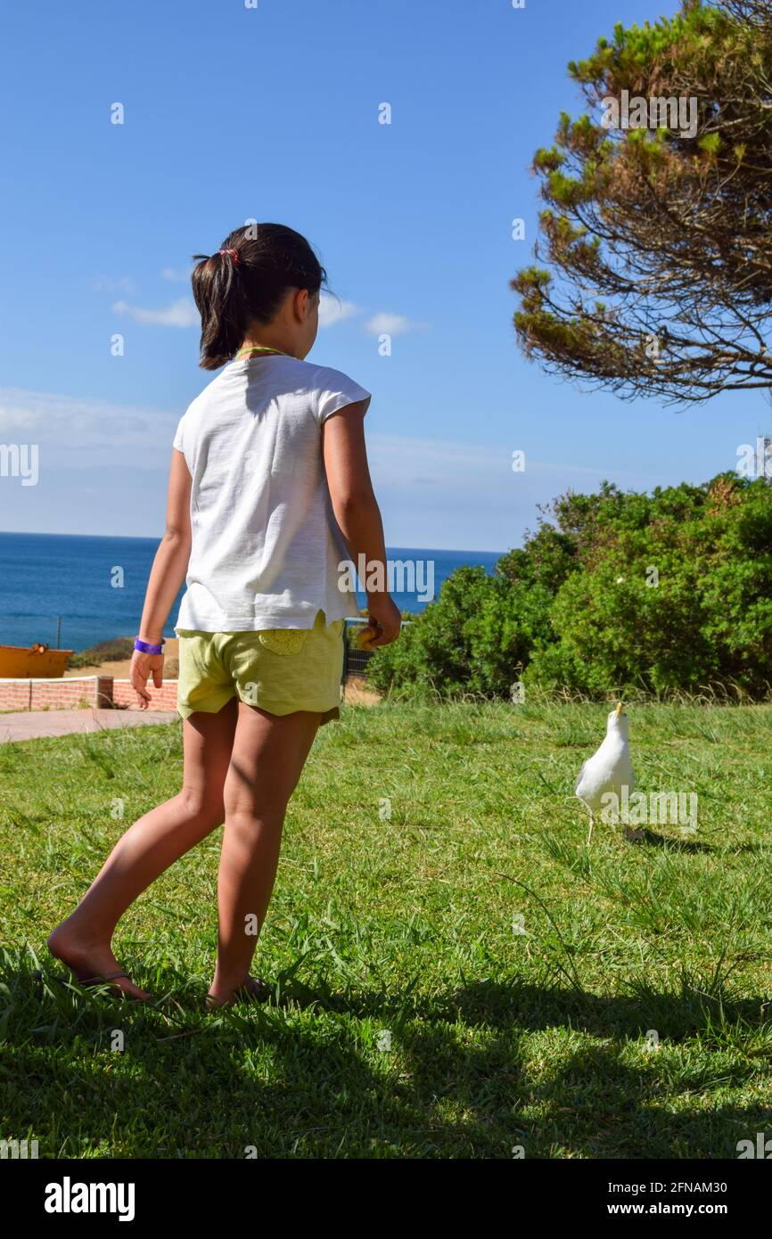 Young children, young girl about six or seven years interacting with seagull on summer hollydays near the beach. Kids amd nature interactions. Stock Photo