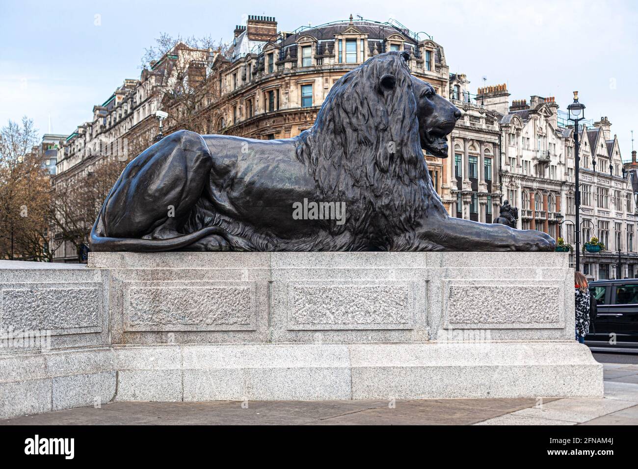One of the four lion statues at Trafalgar Square guarding Nelson's Column at Trafalgar Square, London, England, UK. Stock Photo