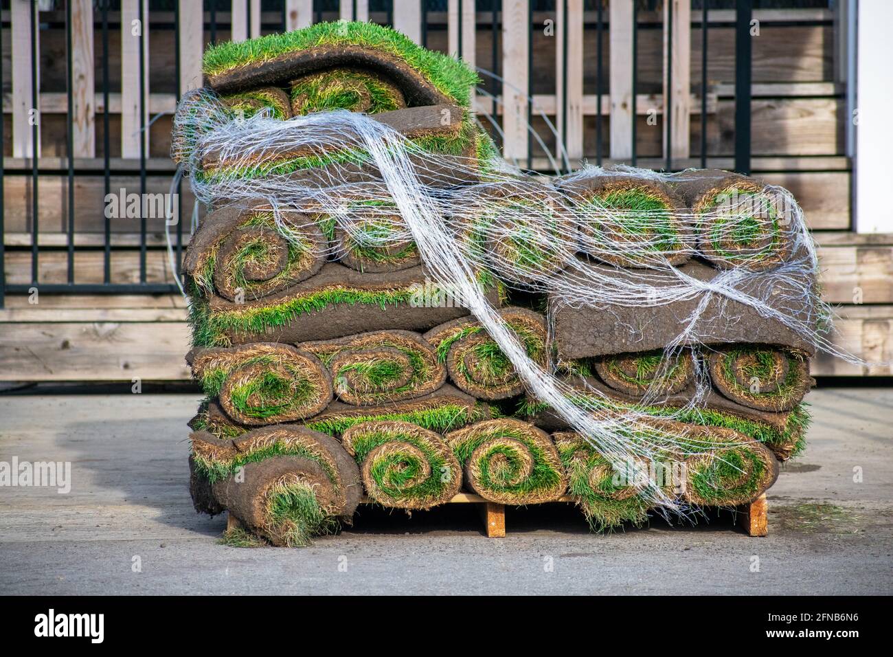 Stack of turf grass rolls, small rolls of sod on pallet is ready for pick up and installation Stock Photo