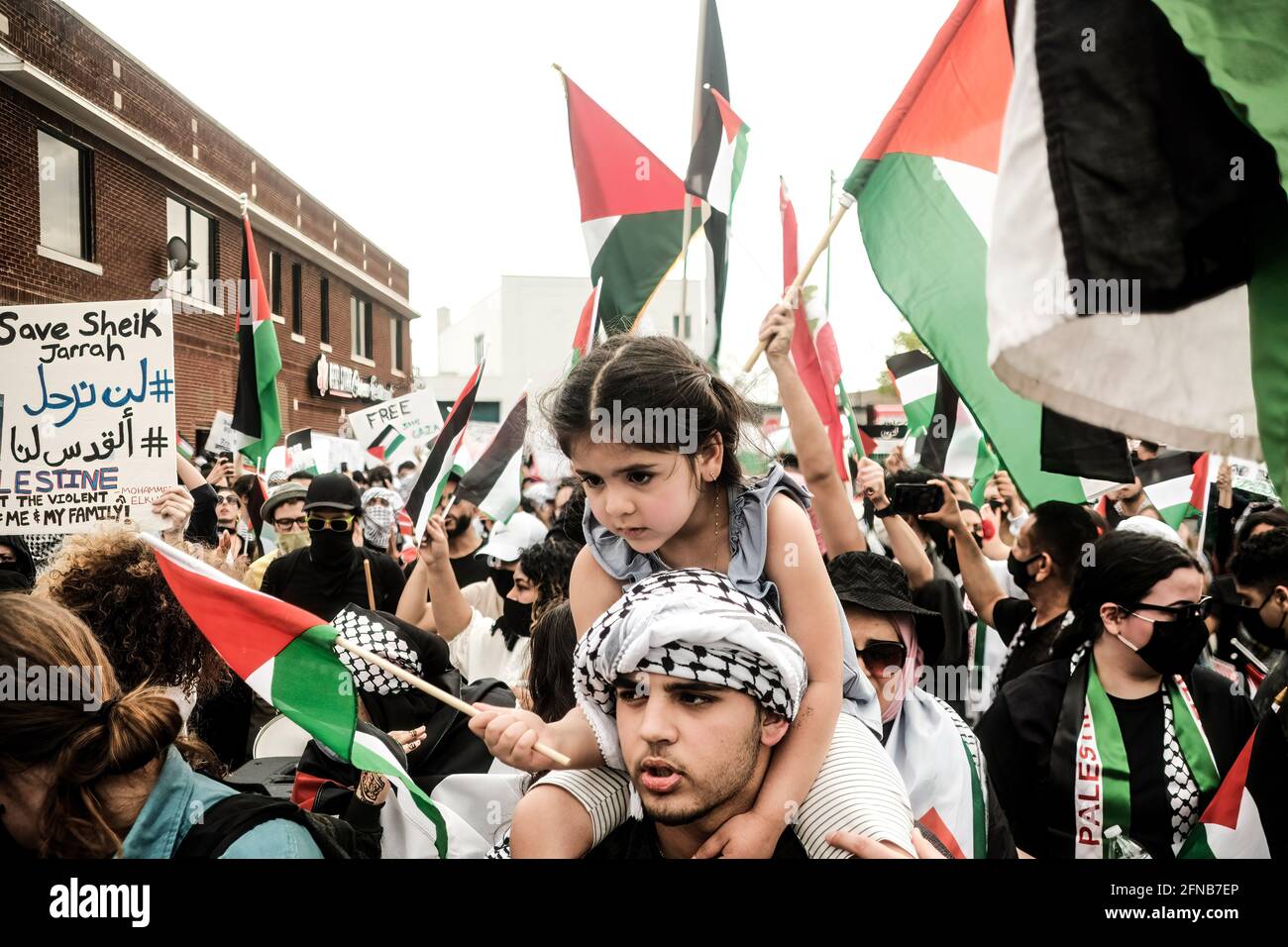Palestine Flag Girl High Resolution Stock Photography And Images Alamy Palestine Flag Girl High Resolution Stock Photography And Images Alamy
