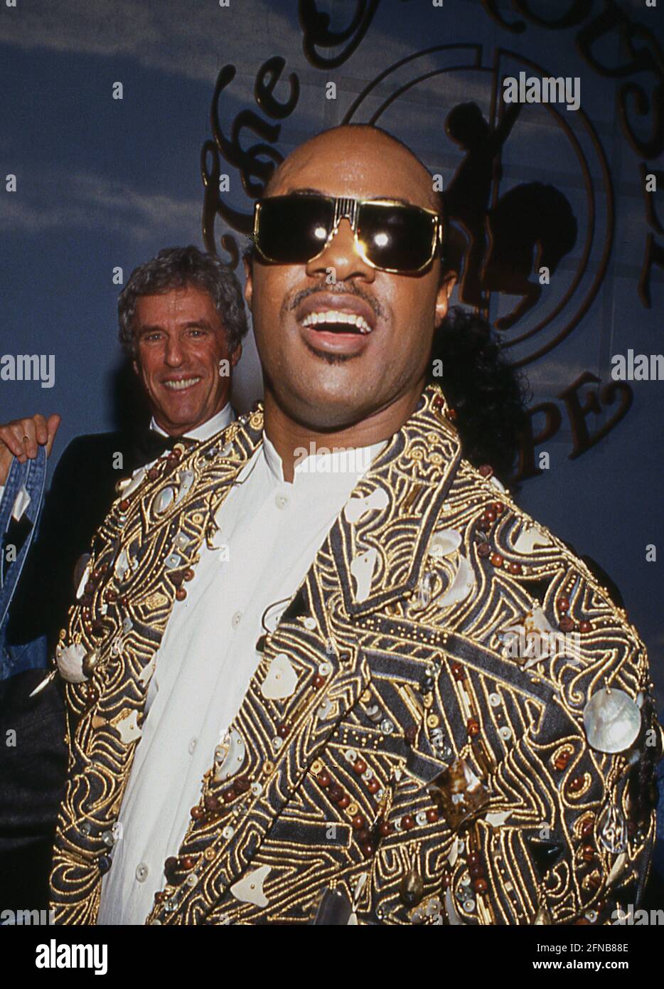 Photo Presse Stevie Wonder – Édition Collector (Réf D 48) En Bon état