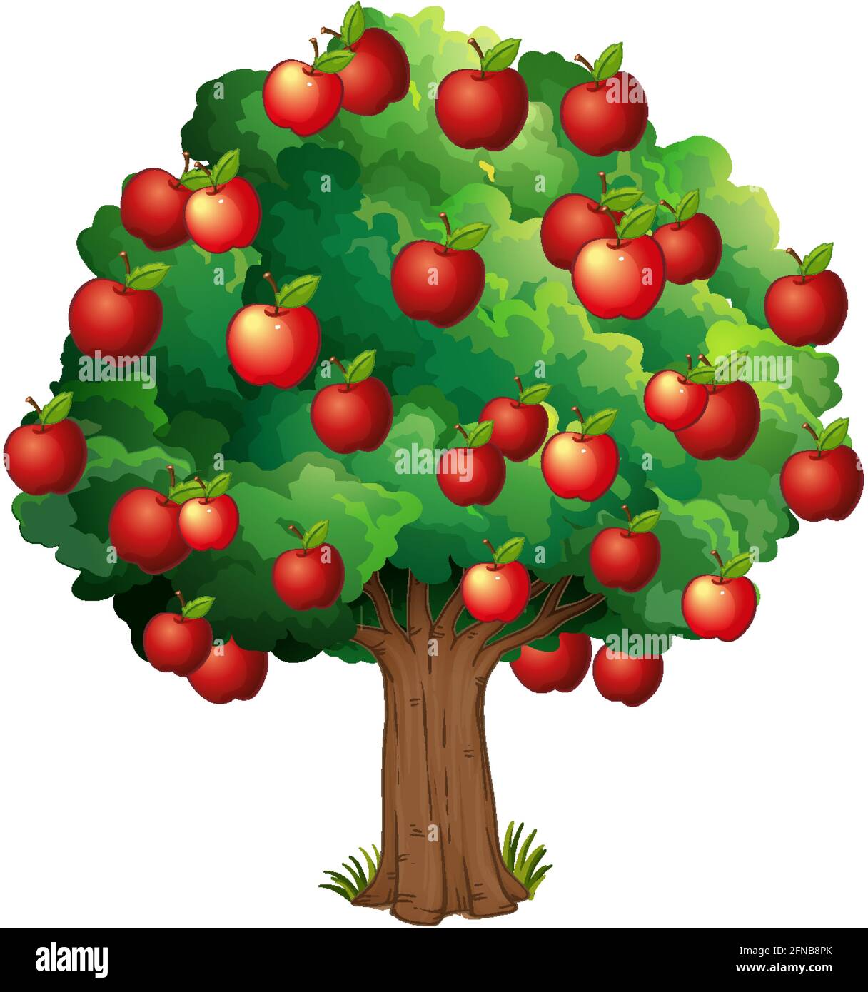 Red apples on a tree isolated on white background illustration Stock ...