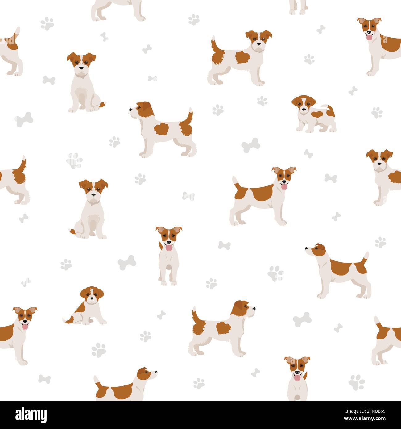 Jack Russel terrier in different poses and coat colors seamless pattern
