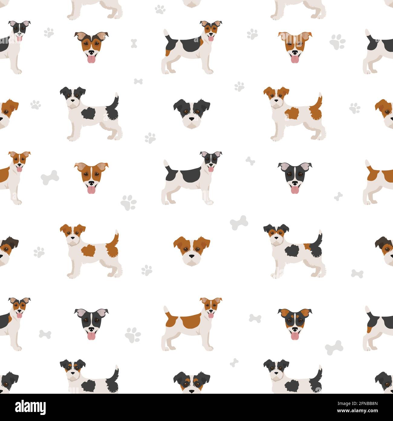 Jack Russel terrier in different poses and coat colors seamless pattern