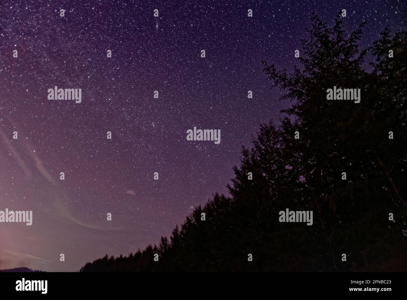 Purple night sky full of stars with Forest as background Stock Photo ...