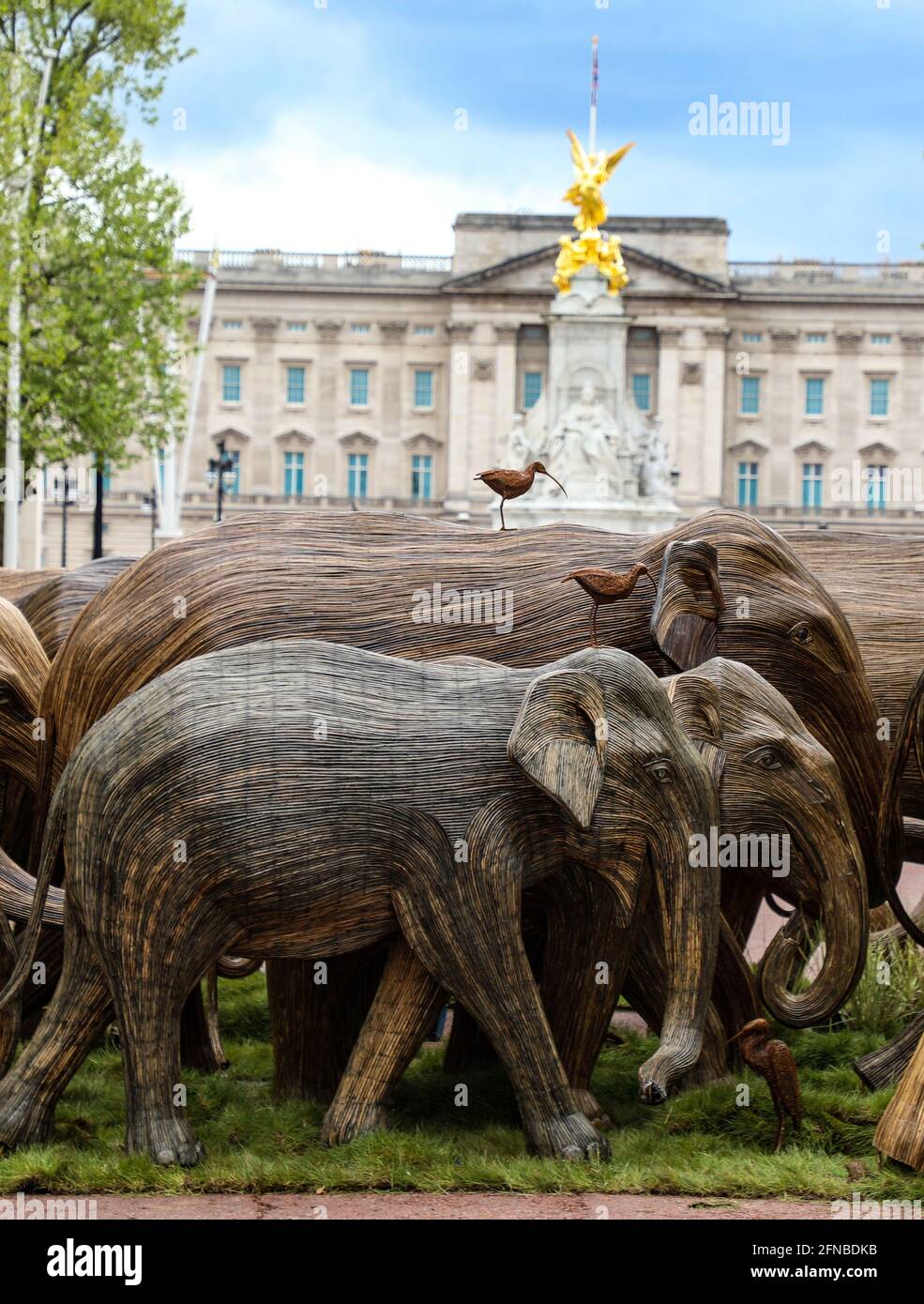 London, UK. 15th May, 2021. Lifesize elephant sculptures are displayed