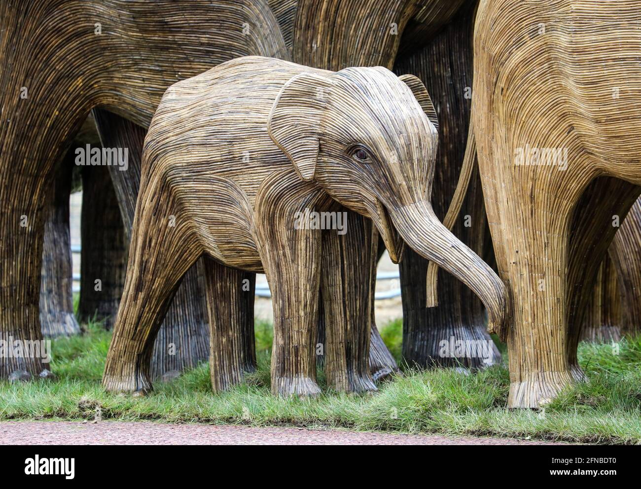 London, UK. 15th May, 2021. Lifesize elephant sculptures are displayed