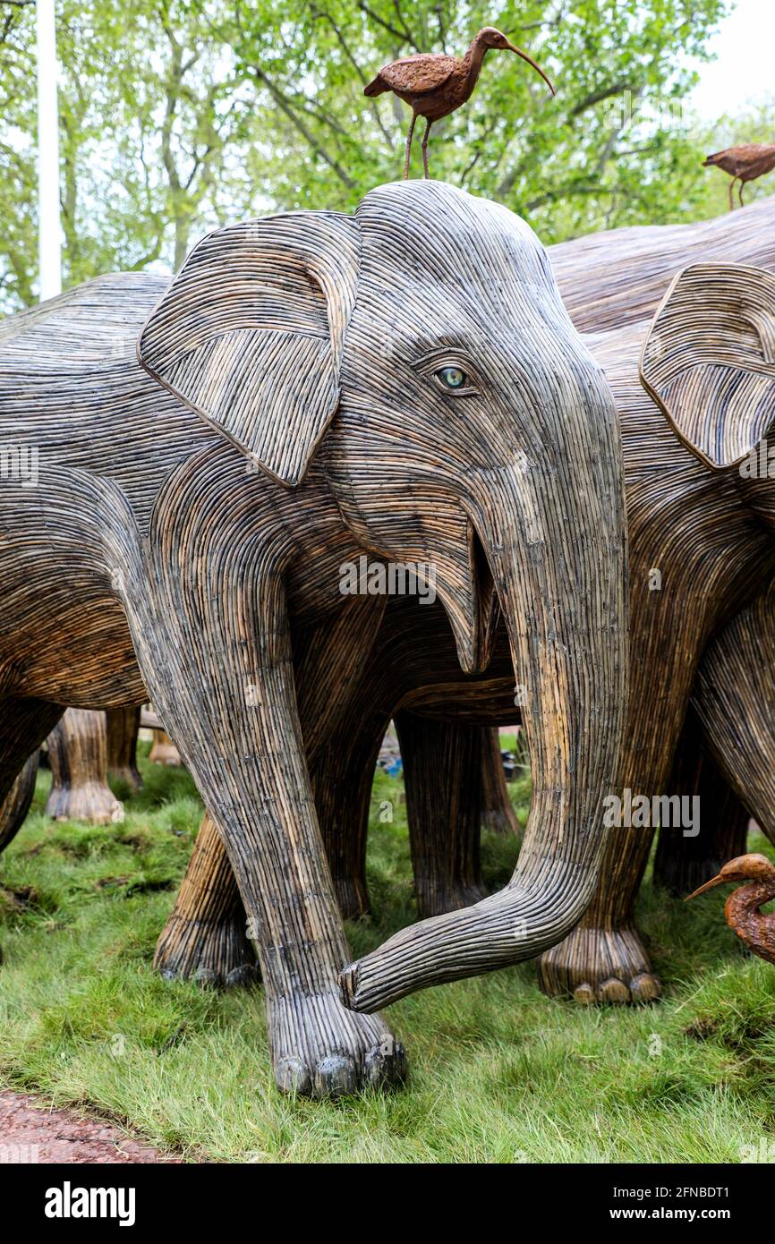 London, UK. 15th May, 2021. Lifesize elephant sculptures are displayed