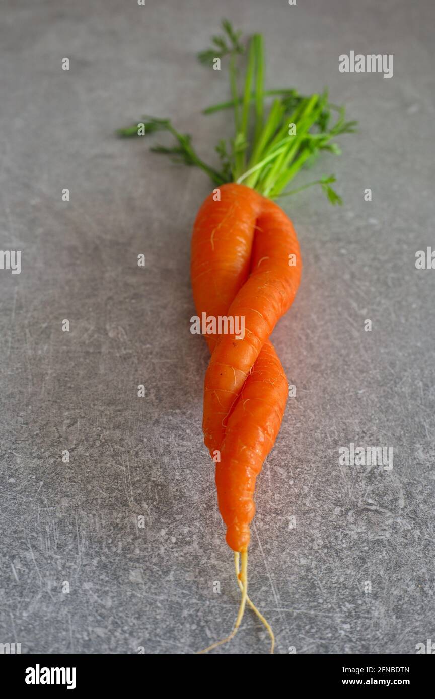 Ugly organic carrot on kitchen desk Stock Photo