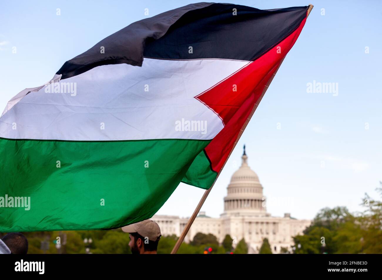 Washington, DC, USA. 15th May, 2021. Pictured: A protester in front of the crowd of over one thousand people waves a Palestinian flag as the March for Palestine approaches the United States Capitol. The protest marks on the 73rd anniversary of the Nakba, Israel's seizure of Palestine in 1948. The date takes on greater significance this year as a result of Israel's invasion of Al Aqua mosque in Jerusalem and airstrikes in Gaza. Credit: Allison Bailey/Alamy Live News Stock Photo