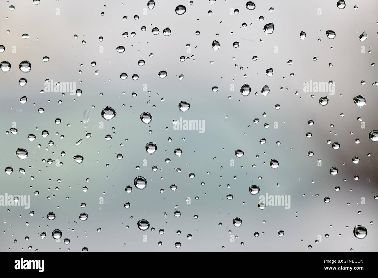 Rain drops on a window pane. Stock Photo
