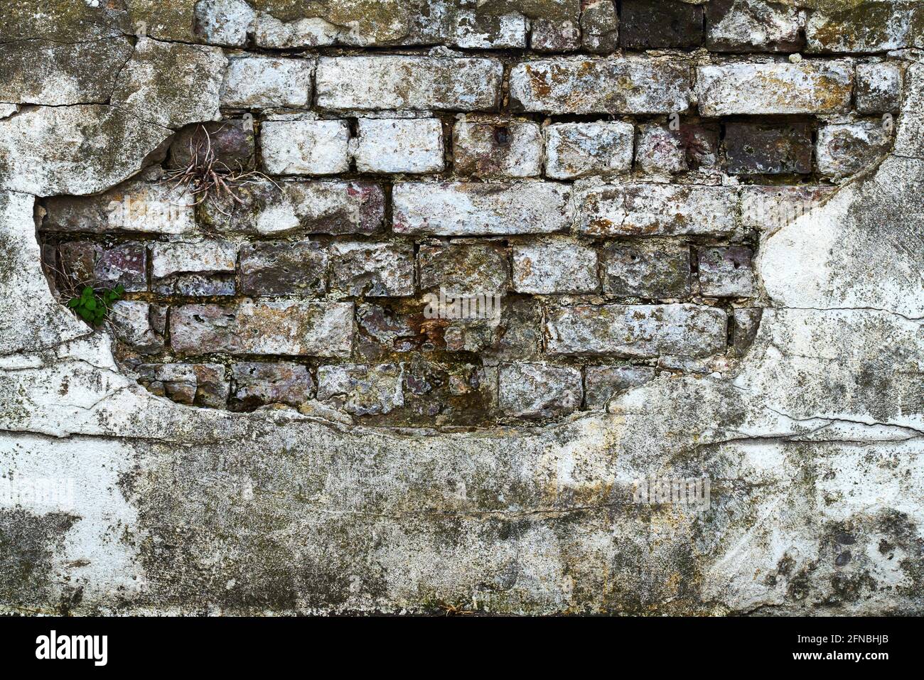 A heavily weathered and textured brick wall beneath broken plaster