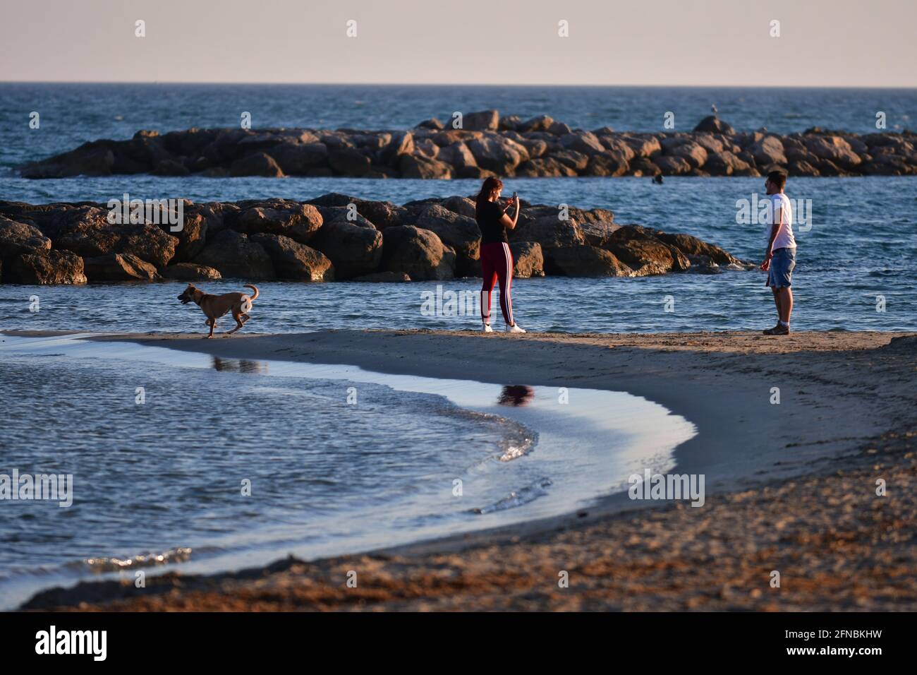 Young couple with dog, girl taking a picture of her boyfriend on the beach in Palavas les Flots, Carnon Plage, Montpellier, Occitanie, South of France Stock Photo