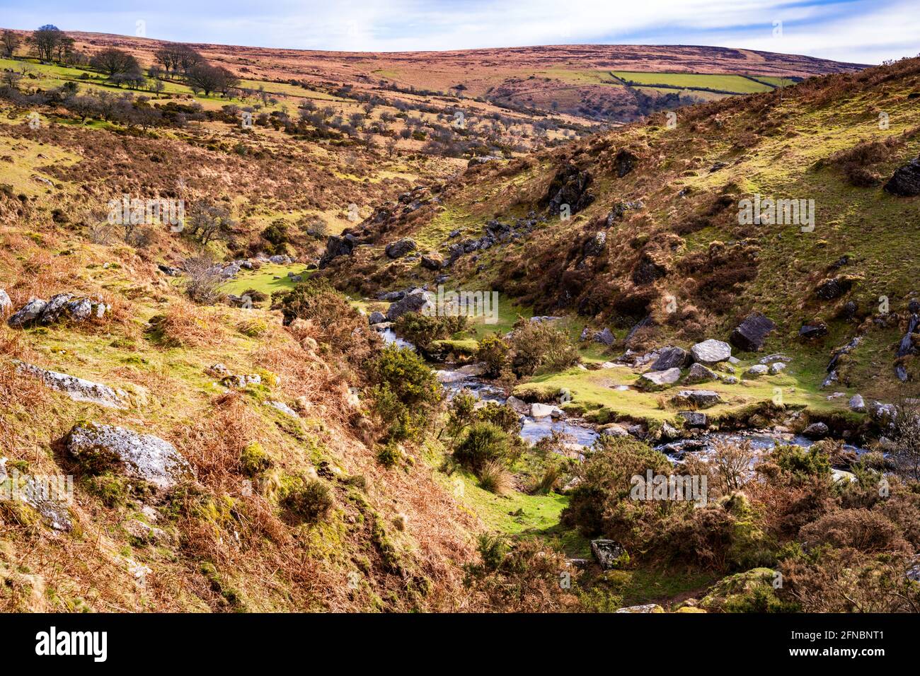 The River Lyd at High Down in the northern section of Dartmoor National Park, Devon, England, UK Stock Photo