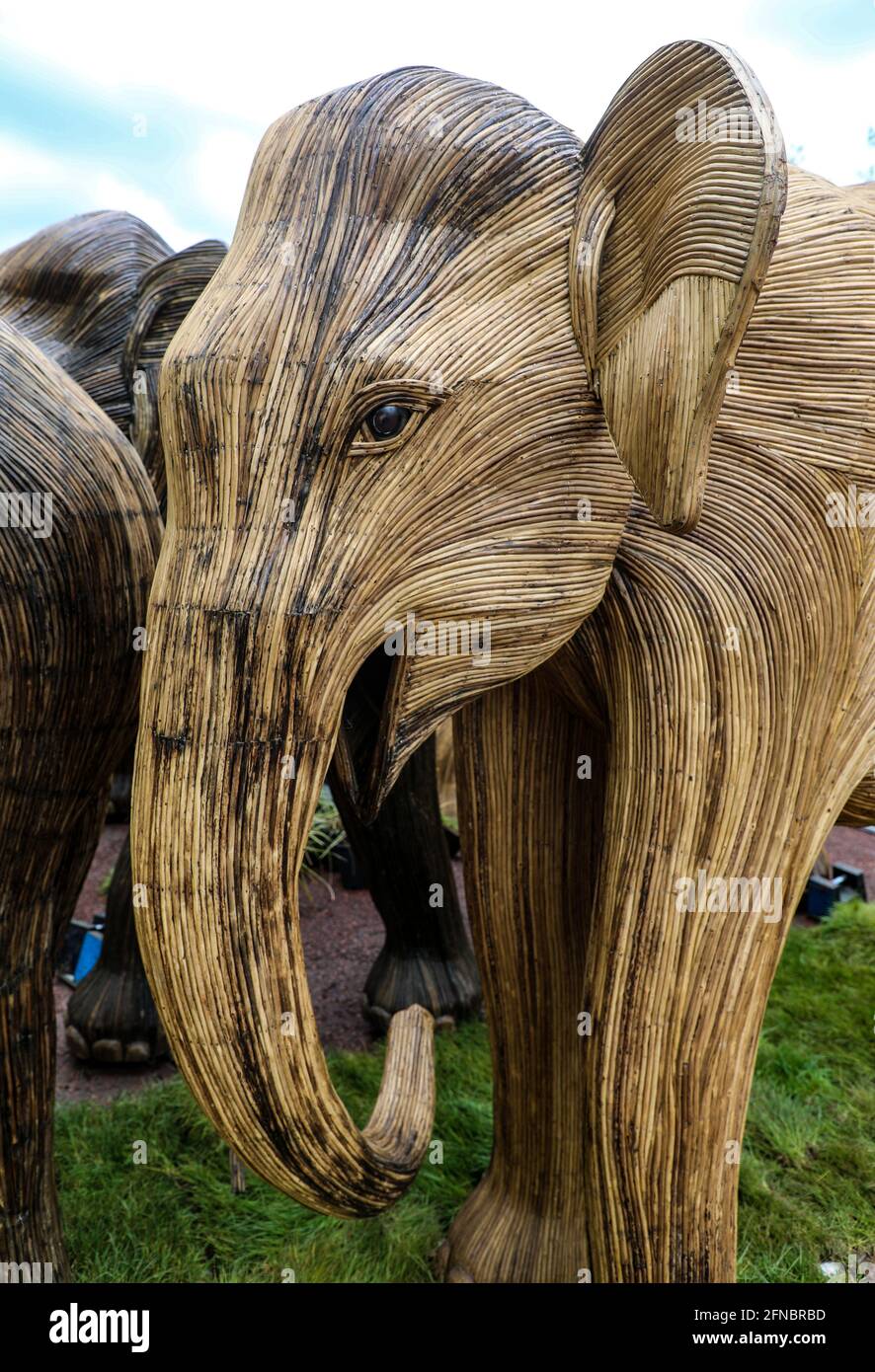 Lifesize elephant sculptures are displayed in The Mall as part of