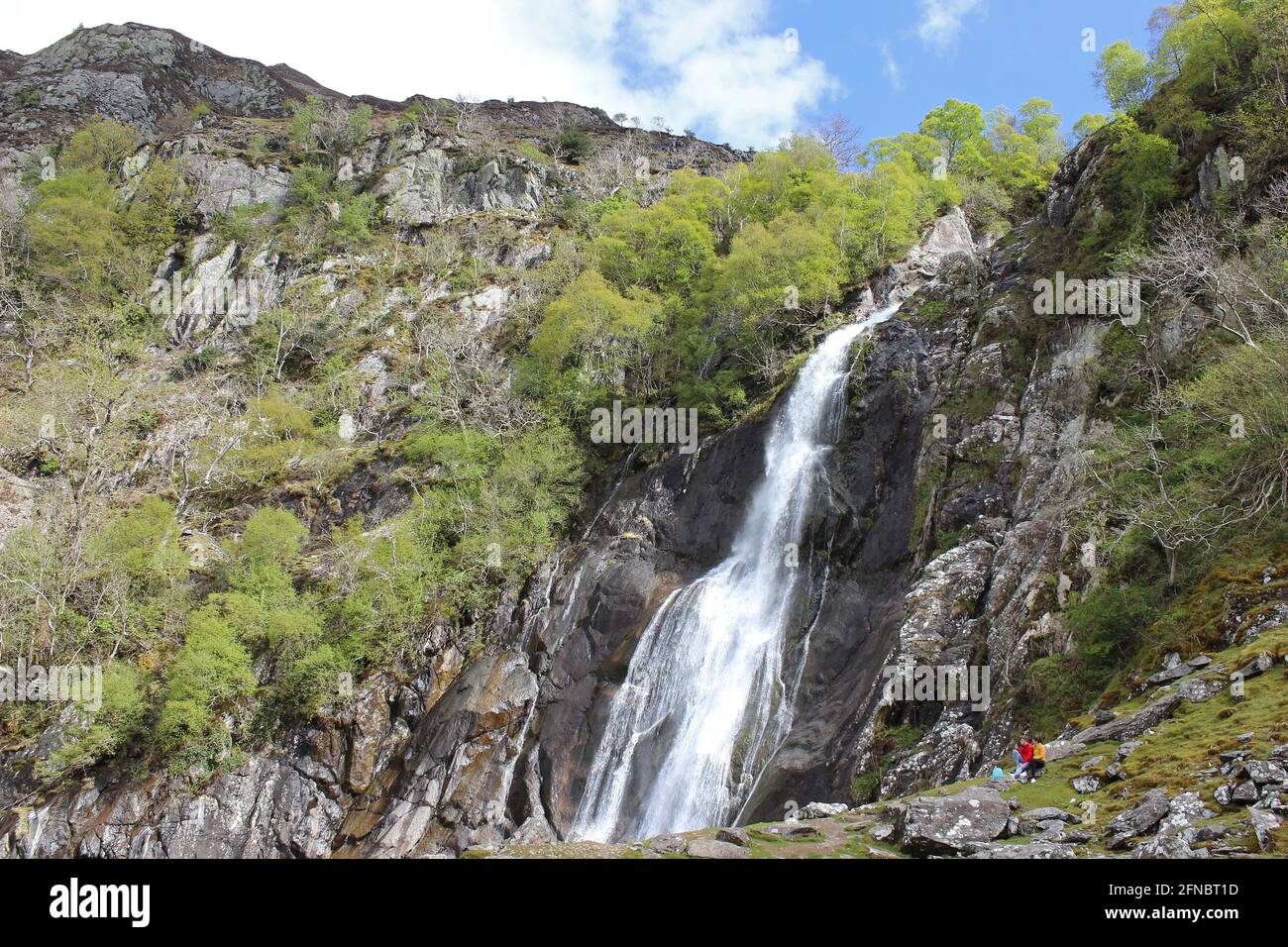 Aber Falls, Coedydd Aber National Nature Reserve, Gwynedd, Wales Stock Photo