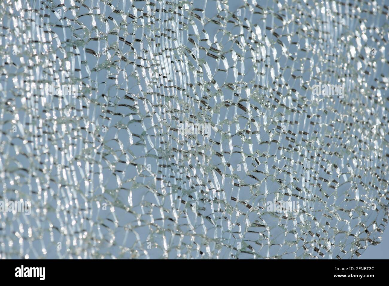 Shattered, cracked glass backlighting, destoryed wildscreen Stock Photo