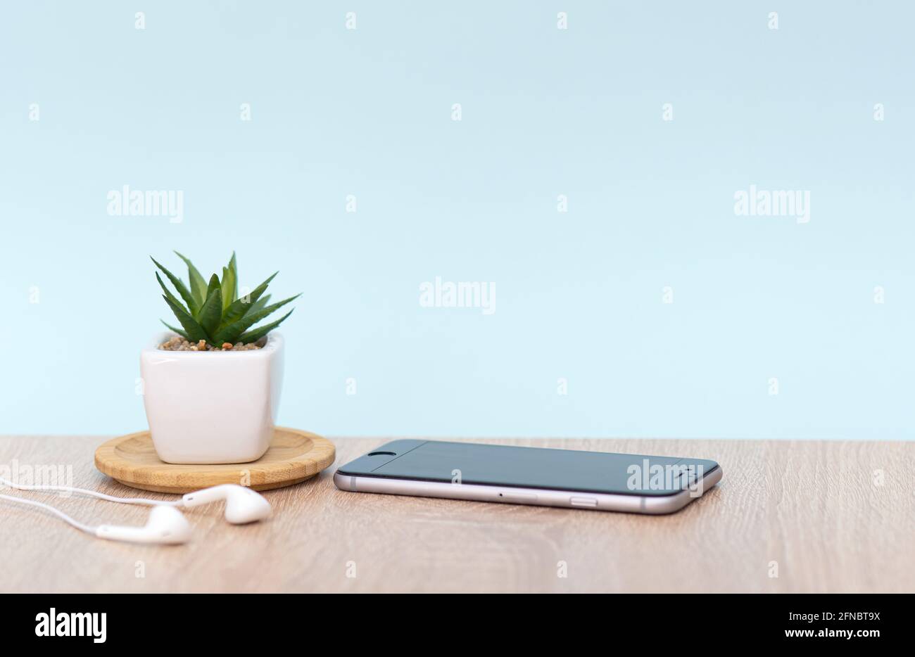 Workplace at an office, desk with mobile phone, headphones, houseplant. Interior with blue wall, brown table. Concept picture. Stock Photo