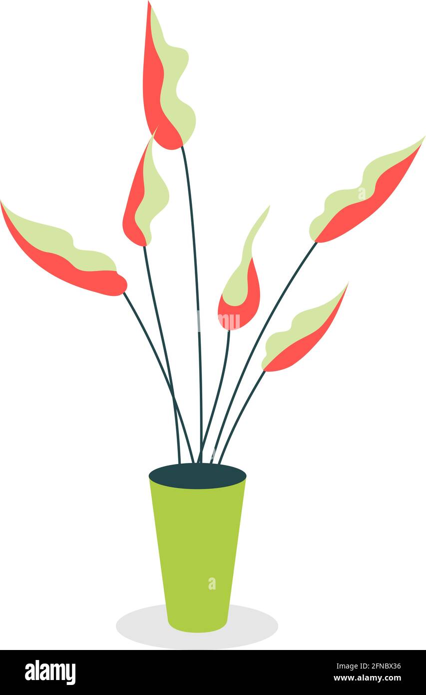Evergreen to semi evergreen Stock Vector Images - Alamy
