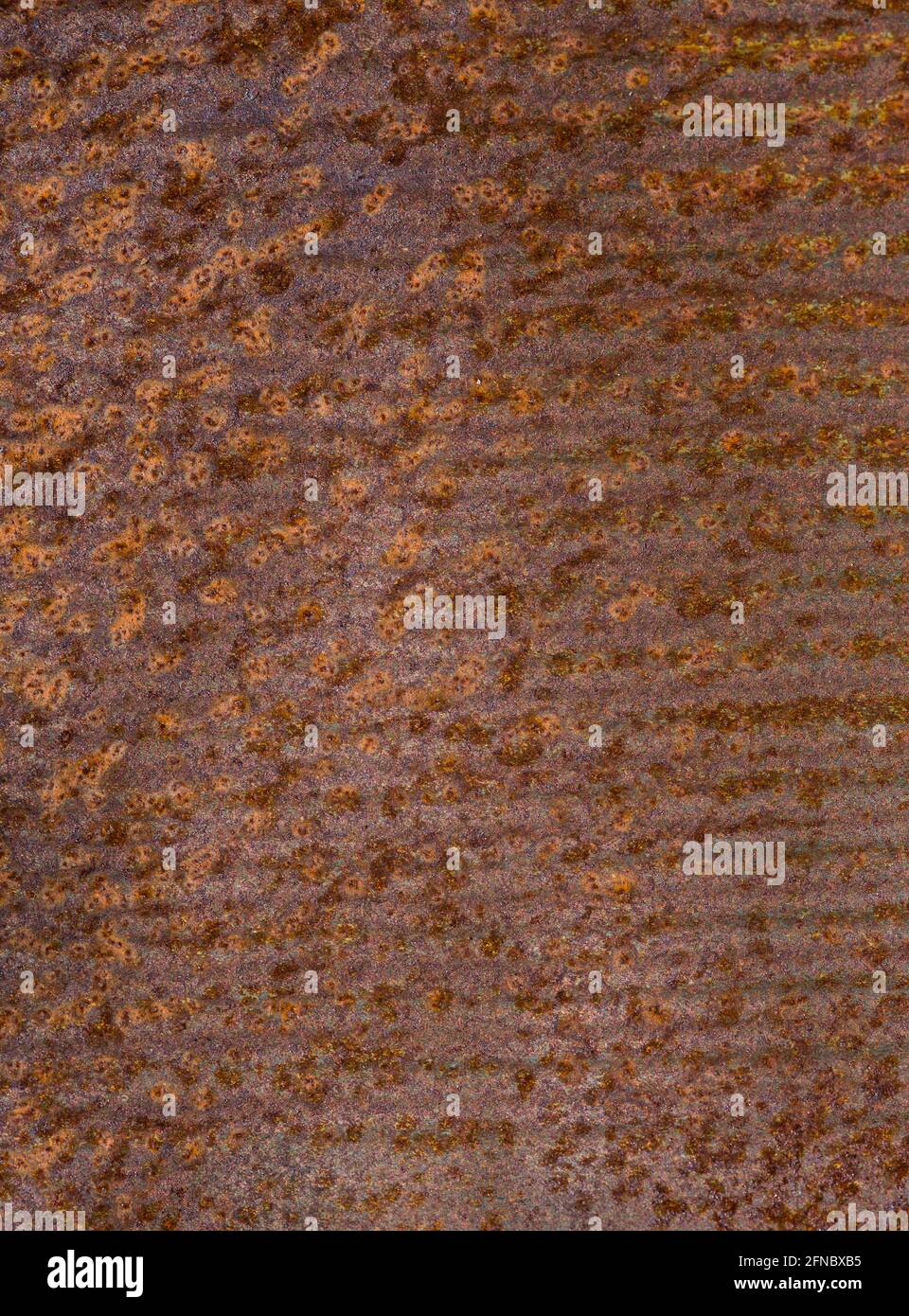 Rust patina on a Corten steel plate. This was used as the cladding on ...